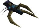 Shock roach
