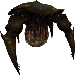 Gonarch