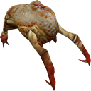Headcrab