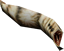 Leech